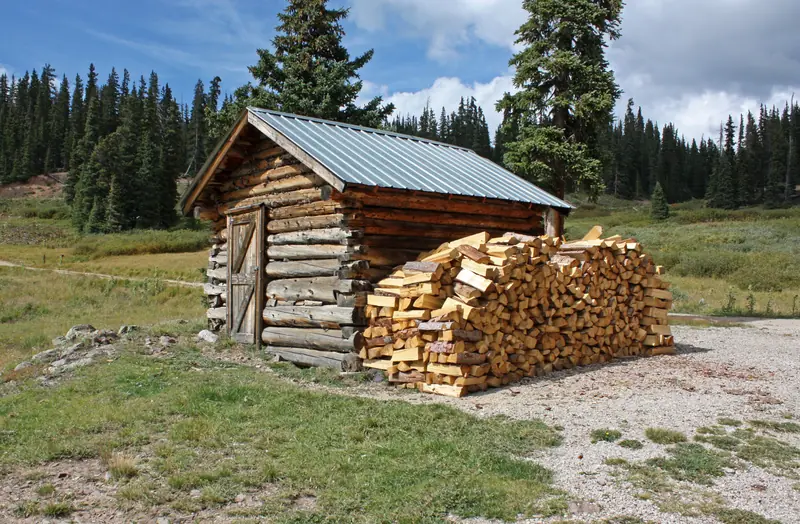 Mountain cabin near Evergreen on 2 acres