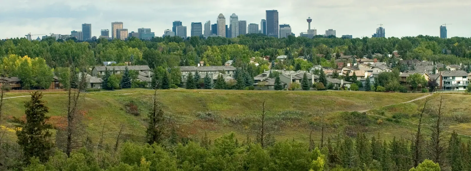 Buildable half acre lot with views